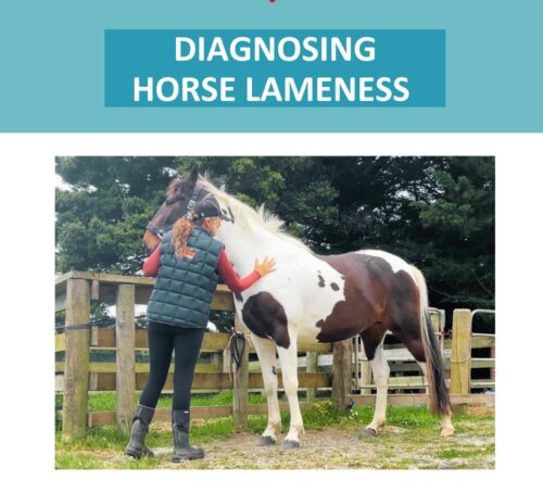 Diagnosing Horse Lameness Info Pack - includes Saddle Fitting & Float Loading packages