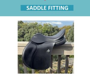Saddle Fitting Info Pack