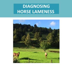 Diagnosing Horse Lameness Info Pack