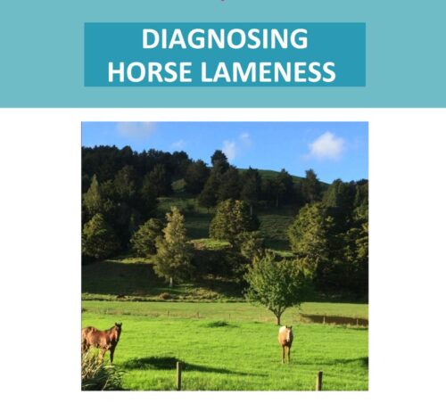 Diagnosing Horse Lameness Info Pack